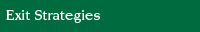 Exit Strategies, Reverse Mergers, Interim CFO Services